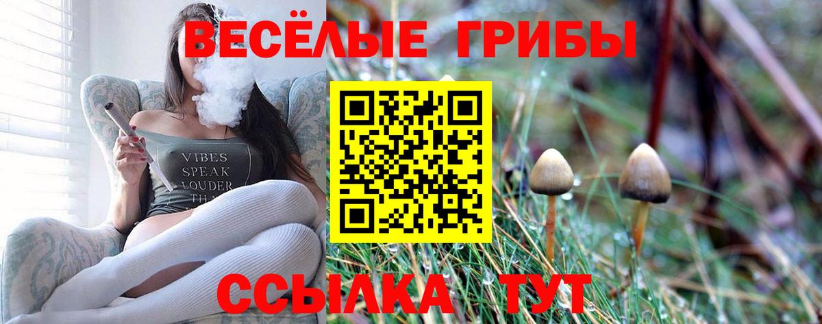 Галлюциногенные грибы Psilocybine cubensis Нарьян-Мар