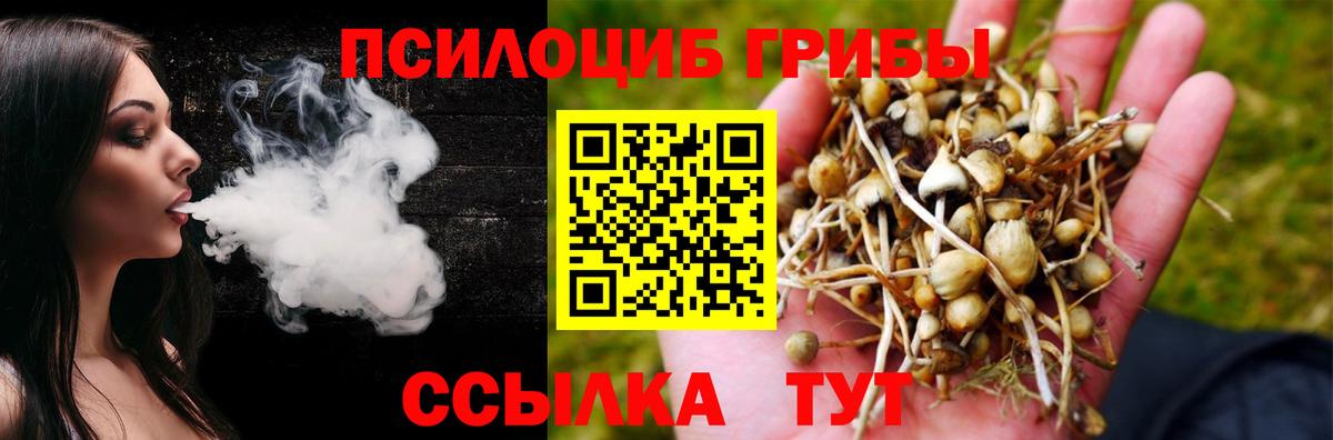 Псилоцибиновые грибы MAGIC MUSHROOMS  Галлюциногенные грибы мицелий  наркошоп  Нарьян-Мар  Вход с VPN 